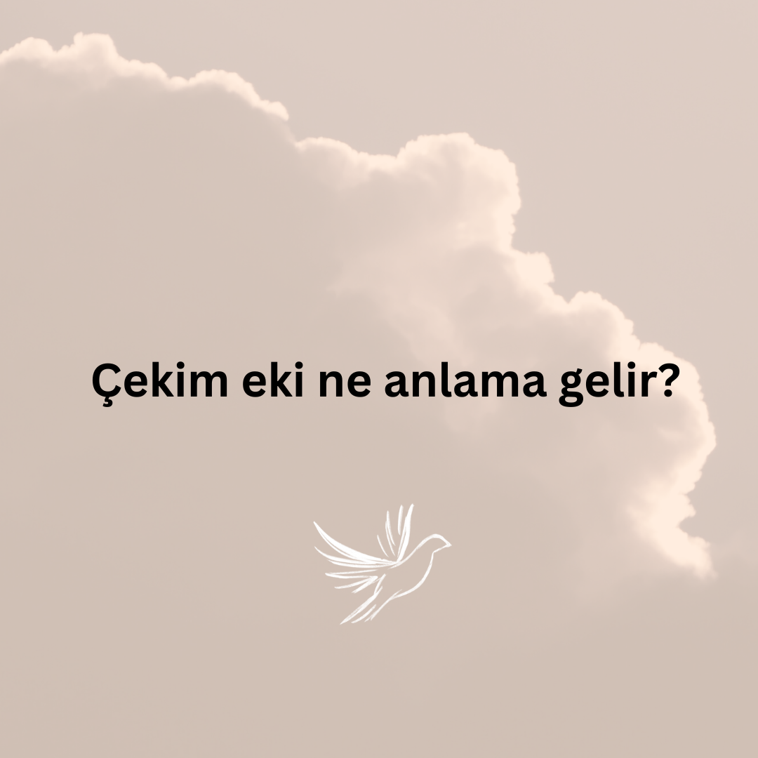 Ekim Eki Ne Anlama Gelir Ne Demek Z T Anlam E Anlam