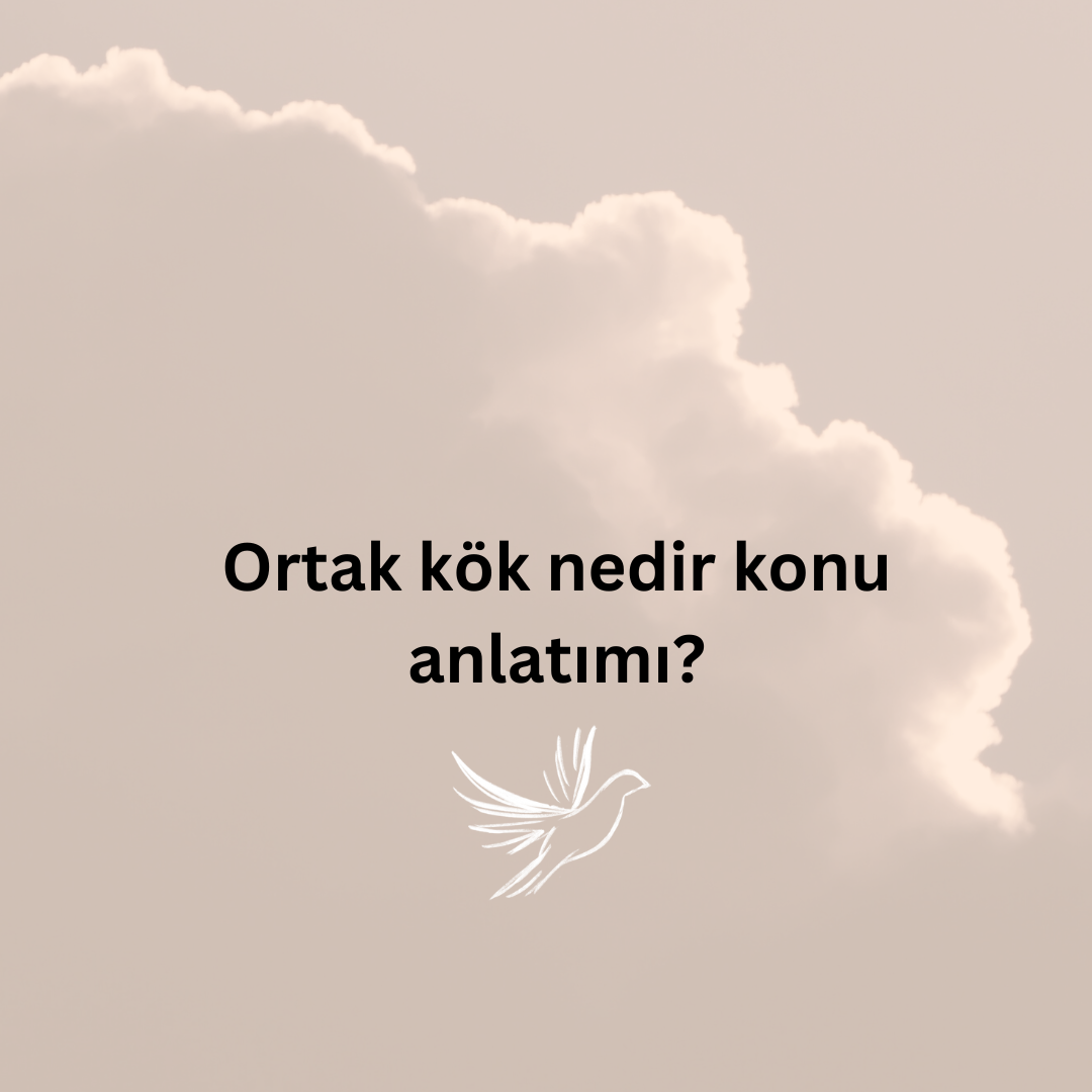 Ortak K K Nedir Konu Anlat M Ne Demek Z T Anlam E Anlam