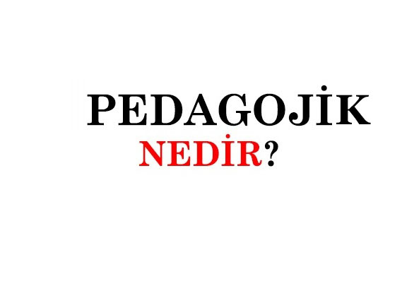 PEDAGOJİK NEDİR? 1