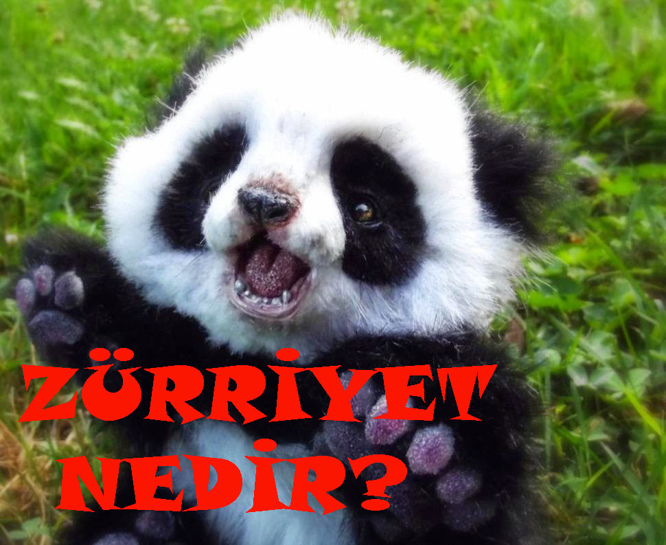 ZÜRRİYET NEDİR? 1