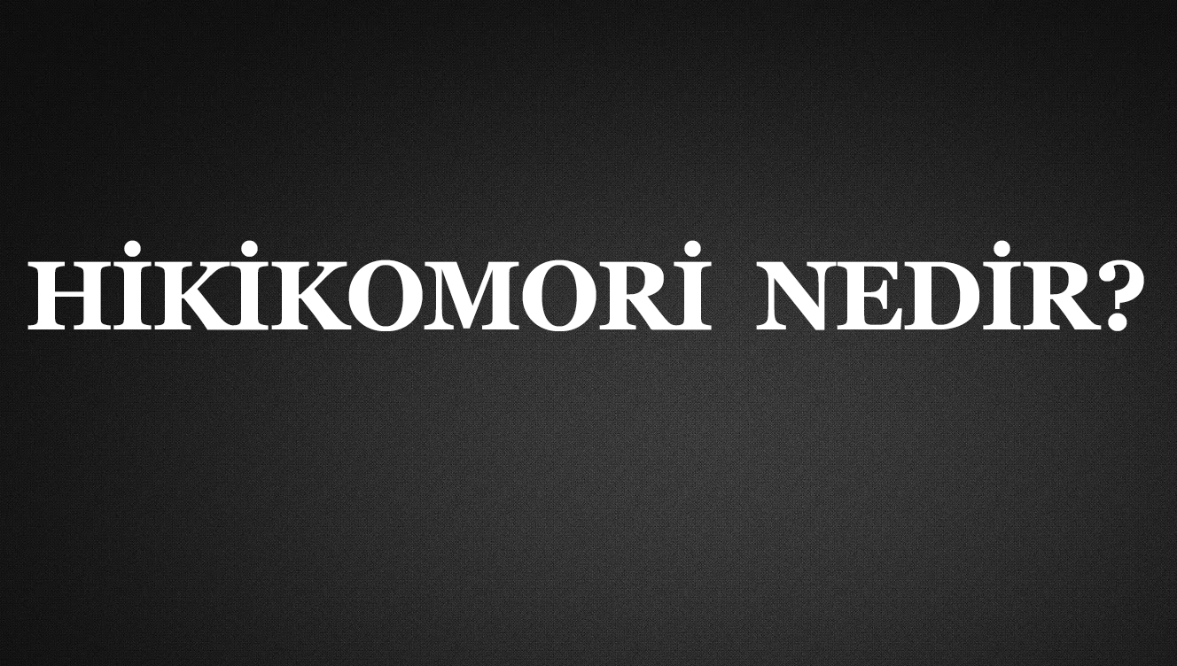 HİKİKOMORİ NEDİR? 1