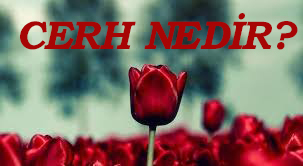 CERH NEDİR? 1