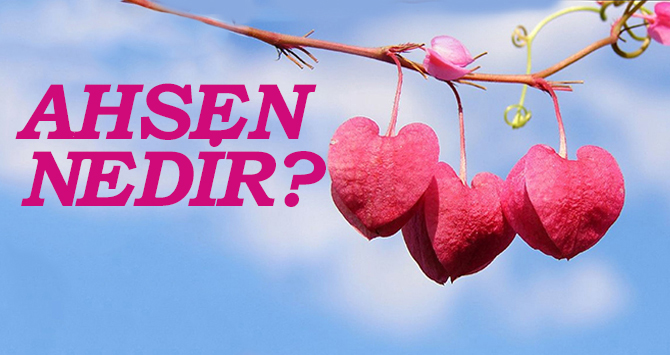 AHSEN NEDİR? 1