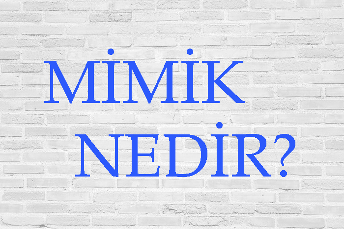 MİMİK NEDİR? 3