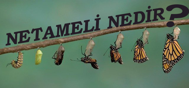 NETAMELİ NEDİR? 1