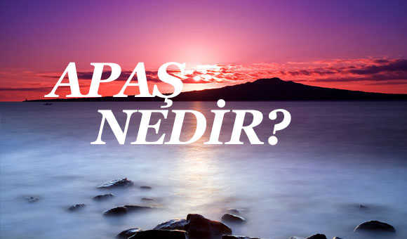 APAŞ NEDİR? 1