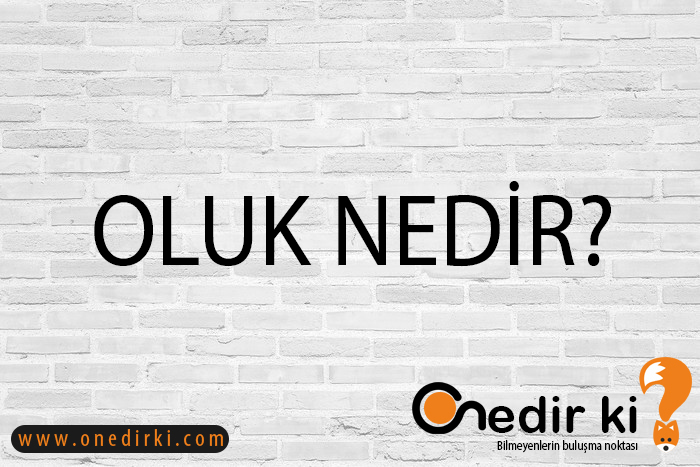 OLUK NEDİR? 4