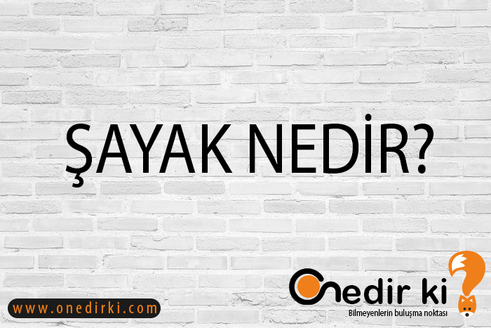 ŞAYAK NEDİR? 1