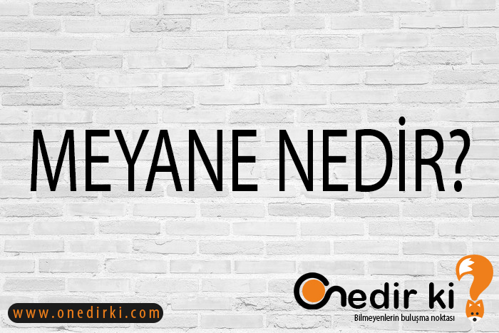 MEYANE NEDİR? 4