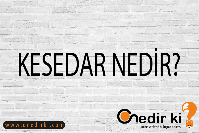 KESEDAR NEDİR? 1