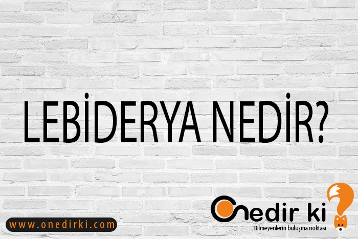 LEBİDERYA NEDİR? 9