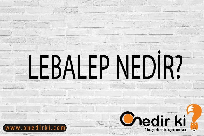 LEBALEP NEDİR? 8