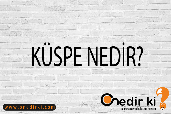 KÜSPE NEDİR? 1