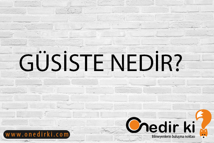 GÜSİSTE NEDİR? 1