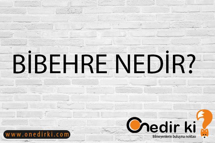 BİBEHRE NEDİR? 1