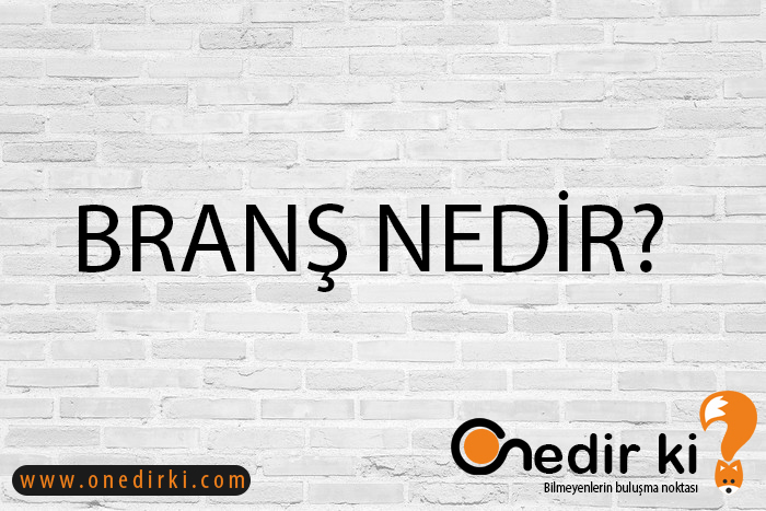 BRANŞ NEDİR? 1