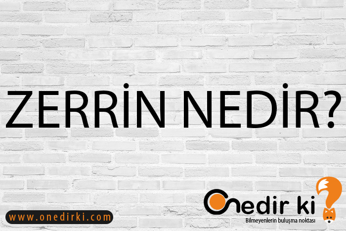 ZERRİN NEDİR? 1