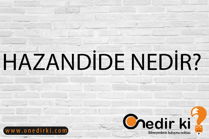 HAZANDİDE NEDİR? 1