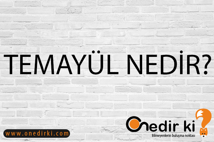 TEMAYÜL NEDİR? 2