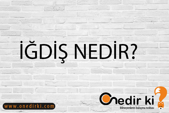 İĞDİŞ NEDİR? 1