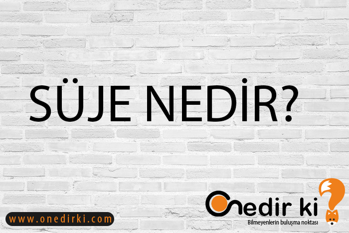 SÜJE NEDİR? 1