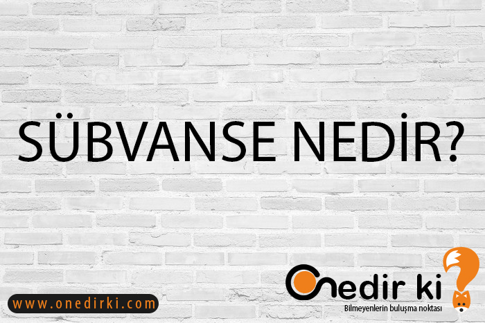 SÜBVANSE NEDİR? 1