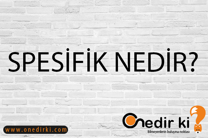 SPESİFİK NEDİR? 1