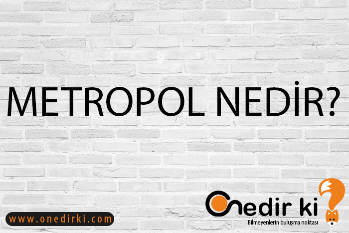 METROPOL NEDİR? 1