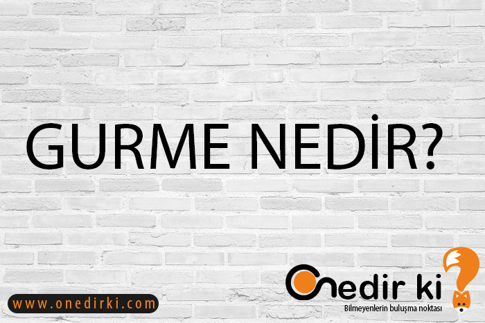 GURME NEDİR? 1