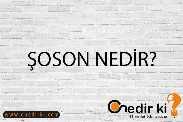 ŞOSON NEDİR? 1