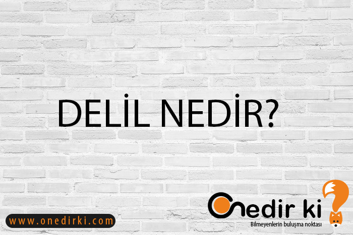 DELİL NEDİR? 1