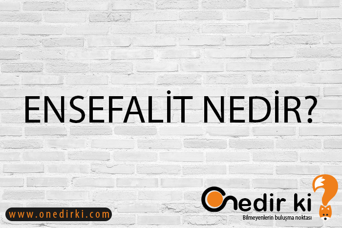 ENSEFALİT NEDİR? 8