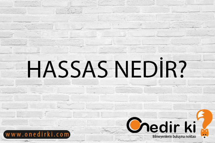 HASSAS NEDİR? 1