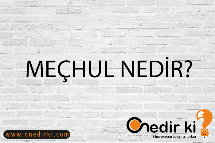 MEÇHUL NEDİR? 1