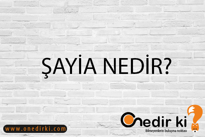 ŞAYİA NEDİR? 1