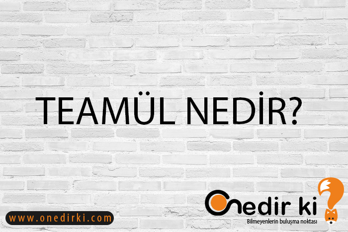 TEAMÜL NEDİR? 1