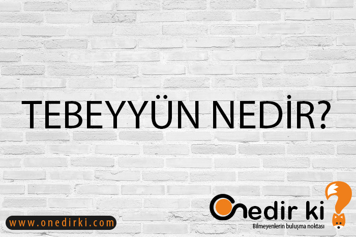 TEBEYYÜN NEDİR? 1