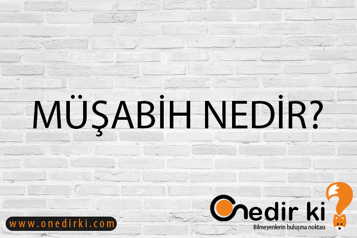 MÜŞABİH NEDİR? 1