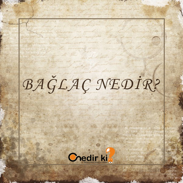 Bağlaç Nedir? 1