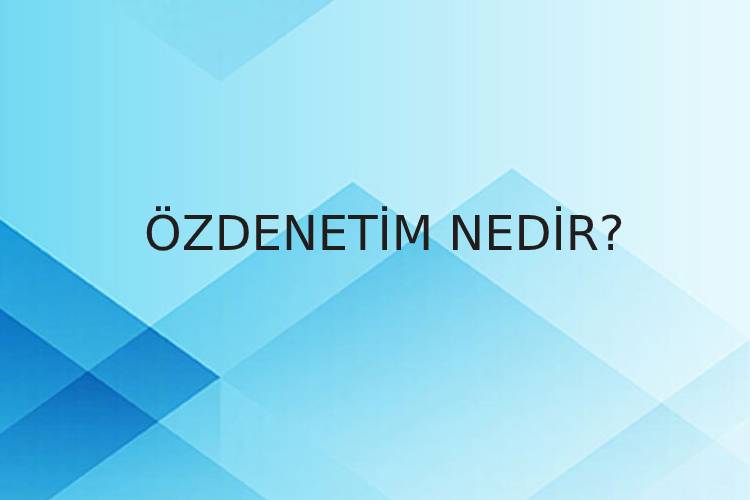 Özdenetim Nedir? 1