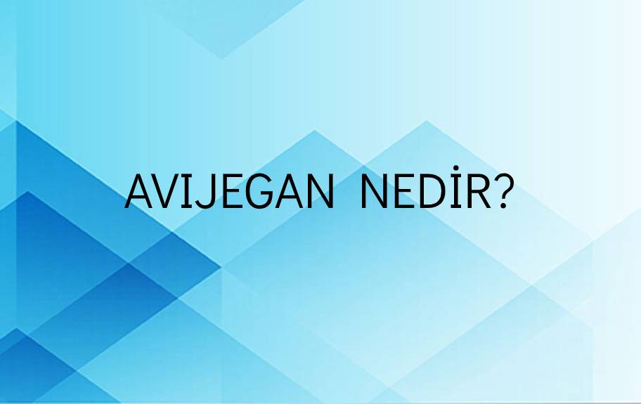 Avıjegan Nedir? 1