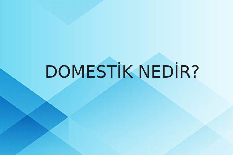 Domestik Nedir? 1