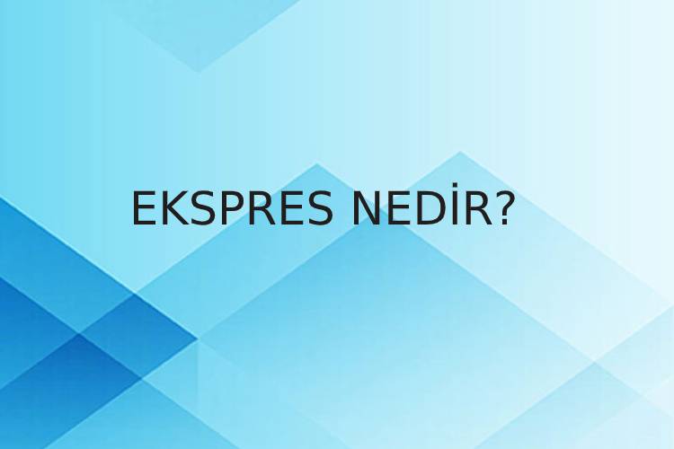 Ekspers Nedir? 1