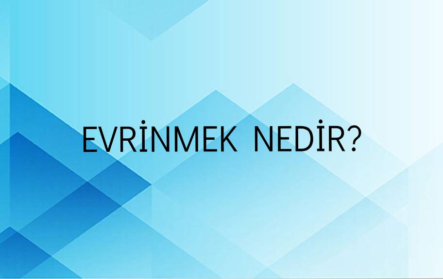 Evrinmek Nedir? 1