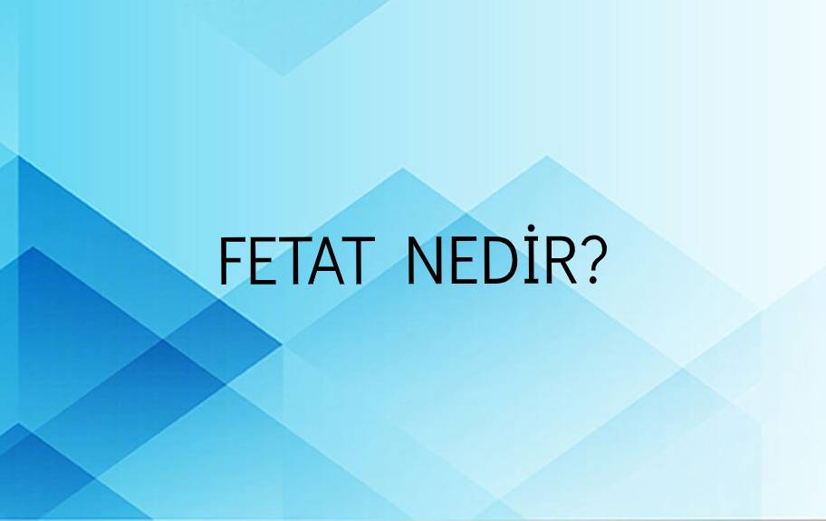 Fetat Nedir? 1