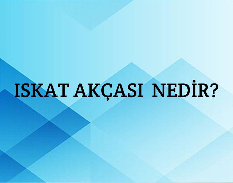 Iskat Akçası Nedir? 2