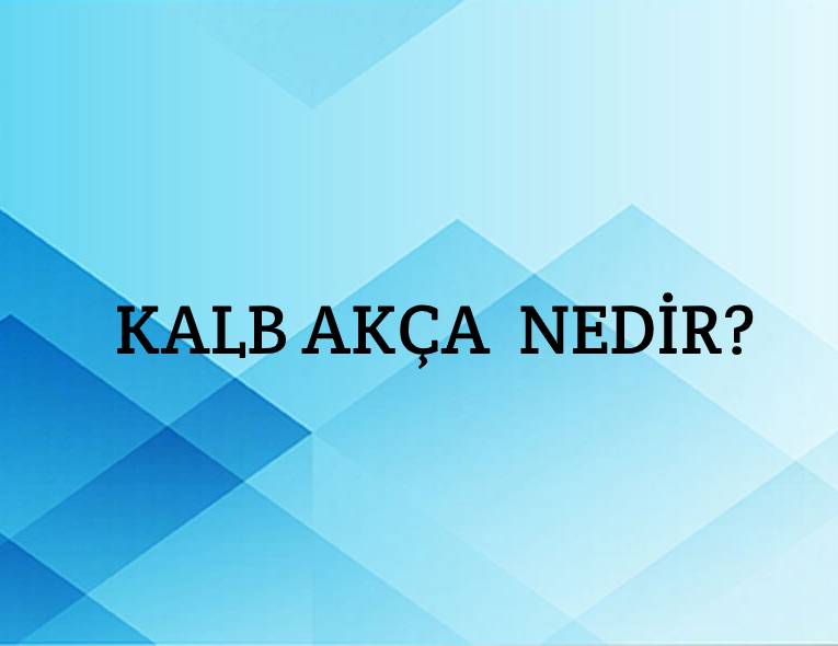 Kalb Akça Nedir? 1