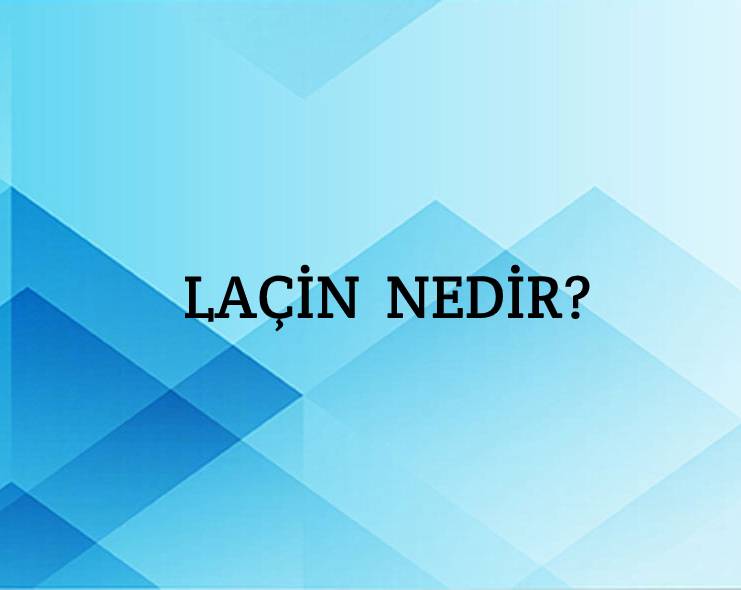 Laçin Nedir? 1