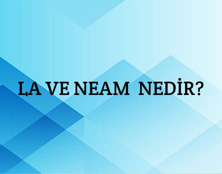 La ve neam Nedir? 1