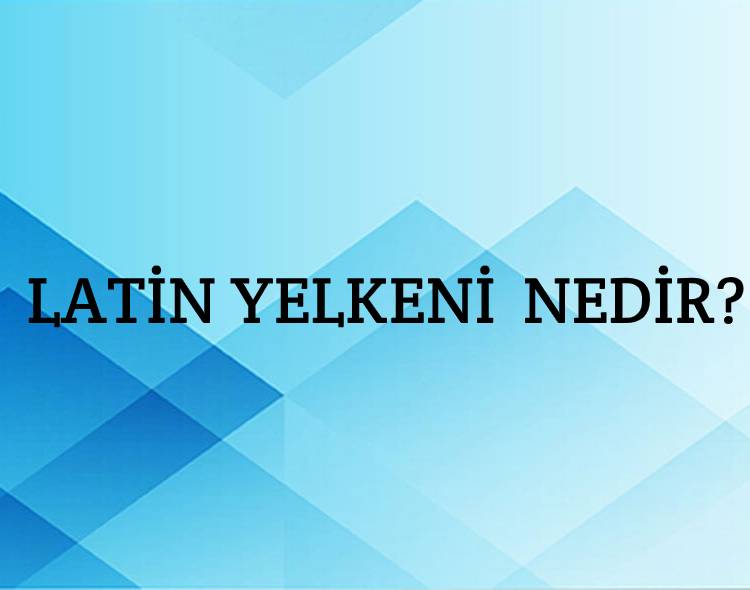 Latin yelkeni Nedir? 1